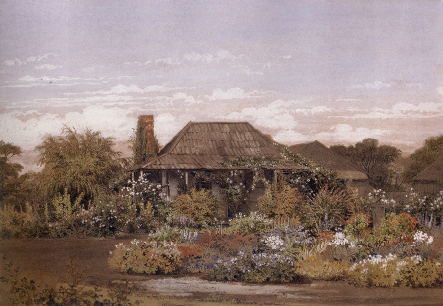 The homestead,Cape Schanck